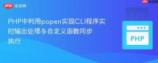 PHP中利用popen实现CLI程序实时输出处理与自定义函数同步执行