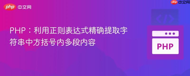 PHP：利用正则表达式精确提取字符串中方括号内多段内容
