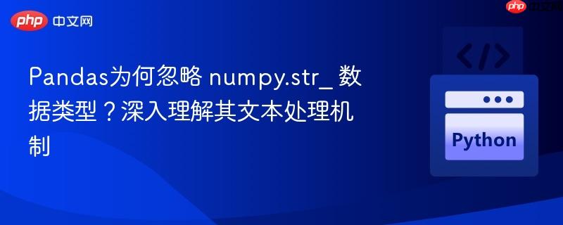 Pandas为何忽略 numpy.str_ 数据类型？深入理解其文本处理机制
