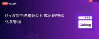 Go语言中结构体切片成员的初始化与管理