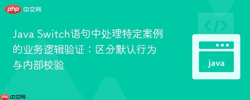 Java Switch语句中处理特定案例的业务逻辑验证：区分默认行为与内部校验
