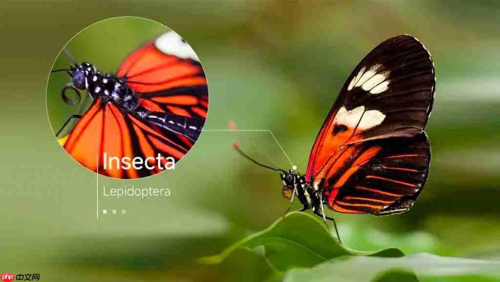  光峰高清高亮 4K 激光投影机重磅来袭，智慧教学再升级 