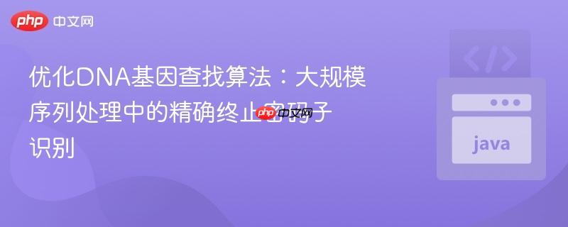 优化dna基因查找算法：大规模序列处理中的精确终止密码子识别