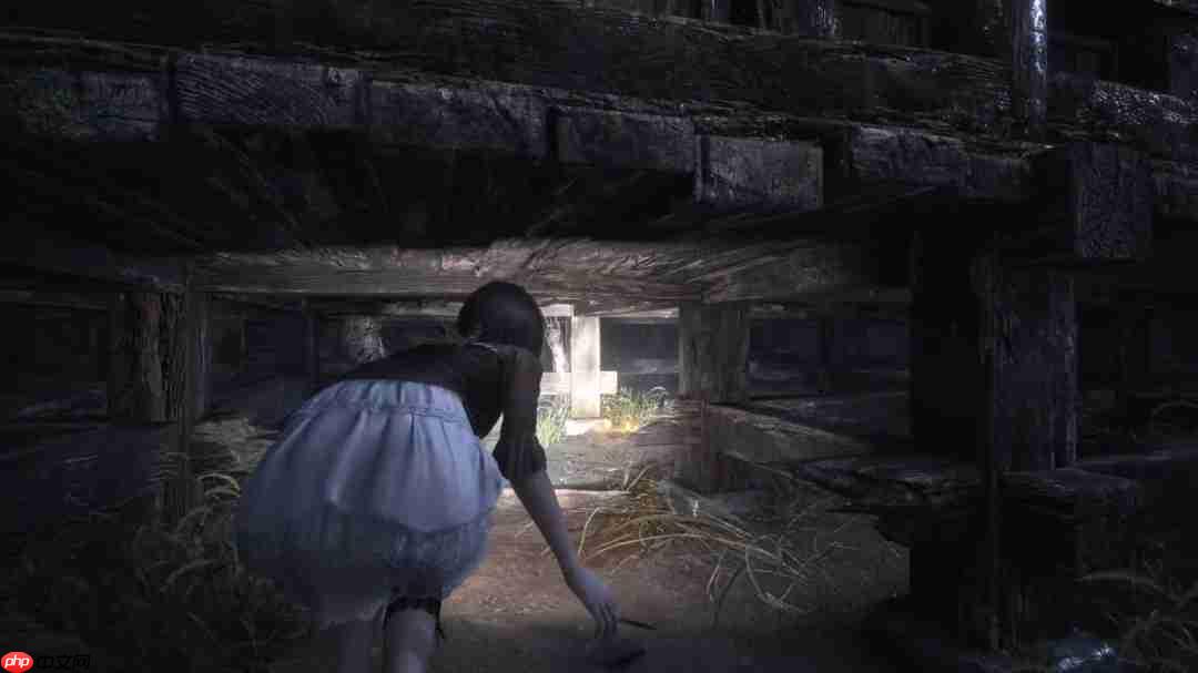 《零红蝶：重制版》新预告 2026年3月12日发售