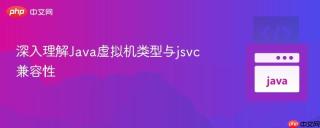 深入理解java虚拟机类型与jsvc兼容性