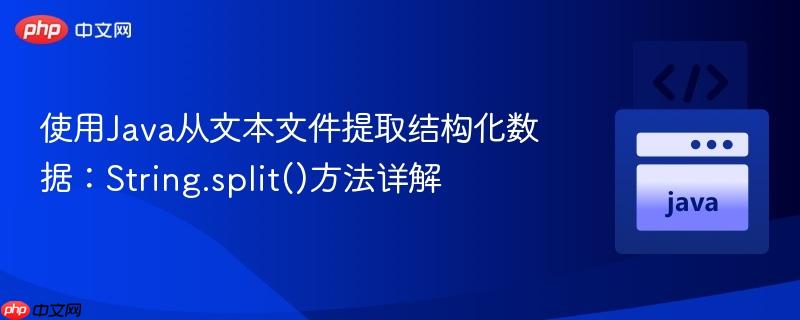使用Java从文本文件提取结构化数据：String.split()方法详解