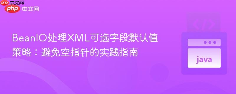 BeanIO处理XML可选字段默认值策略:避免空指针的实践指南