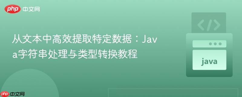 从文本中高效提取特定数据：Java字符串处理与类型转换教程