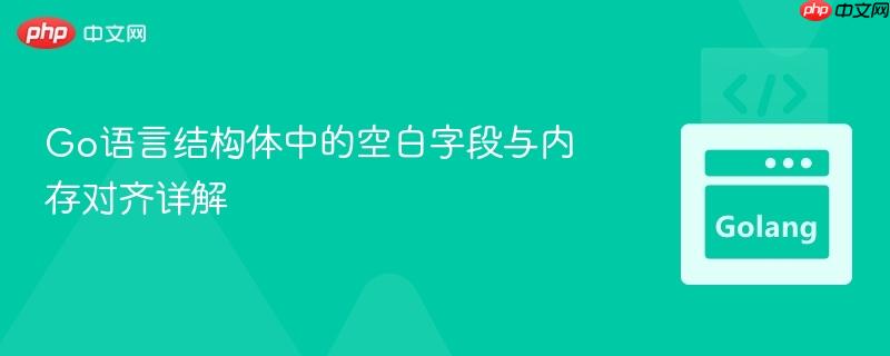 Go语言结构体中的空白字段与内存对齐详解
