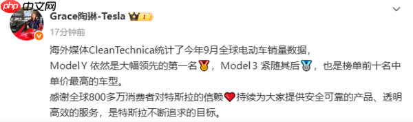 特斯拉副总裁:Model Y位居9月全球电动车销量第一名