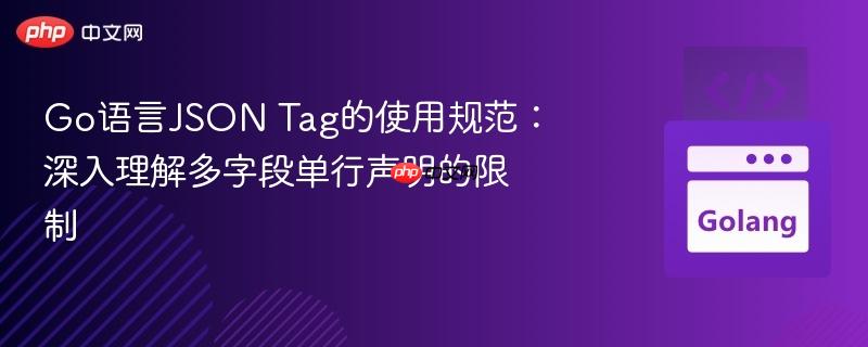 Go语言JSON Tag的使用规范：深入理解多字段单行声明的限制
