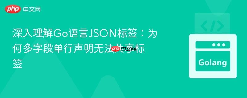 深入理解Go语言JSON标签：为何多字段单行声明无法共享标签
