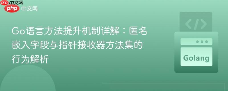Go语言方法提升机制详解：匿名嵌入字段与指针接收器方法集的行为解析
