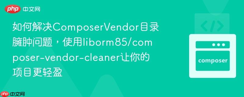 如何解决composervendor目录臃肿问题，使用liborm85/composer-vendor-cleaner让你的项目更轻盈