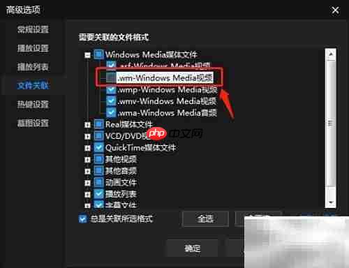 暴风影音关联.wm文件设置