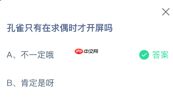 孔雀只有在求偶时才开屏吗