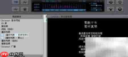 JetAudio Plus VX中文设置方法