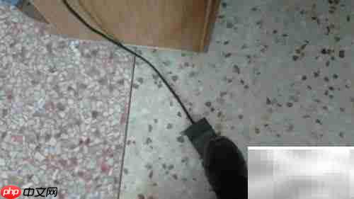 医院病历装订方法指南