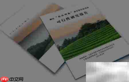 项目兴建理由与目标解析