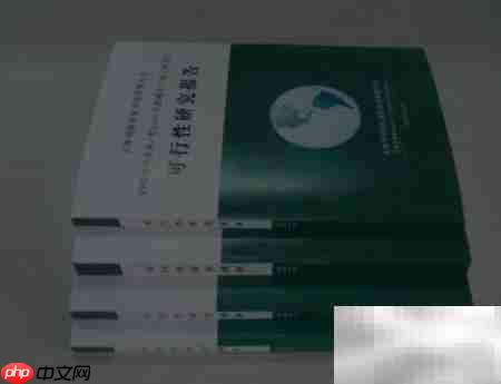 项目兴建理由与目标解析
