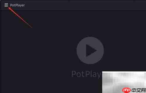 PotPlayer如何调速0.3倍