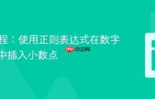 PHP教程：使用正则表达式在数字字符串中插入小数点