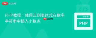 PHP教程：使用正则表达式在数字字符串中插入小数点