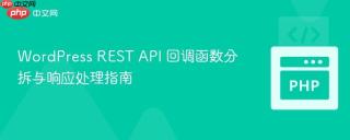 WordPress REST API 回调函数分拆与响应处理指南