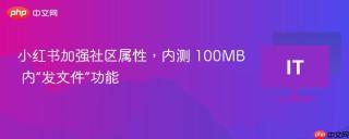 小红书加强社区属性，内测 100MB 内“发文件”功能
