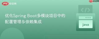 优化Spring Boot多模块项目中的配置管理与依赖集成