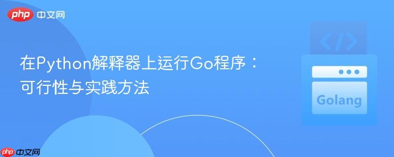 在Python解释器上运行Go程序:可行性与实践方法