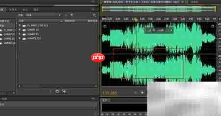 PDF-XChange无法编辑音频？一招解决