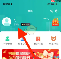 《网上国网》查看电负荷情况方法