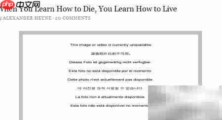 Pocket插件使用指南