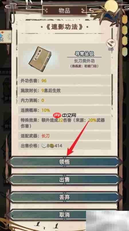 迅影功法江湖领悟之道