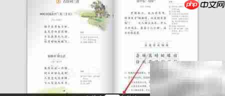 人教版电子书在线阅读指南