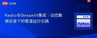Kedro与Streamlit集成：动态数据目录下的管道运行实践