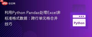 利用Python Pandas处理Excel非标准格式数据：跨行单元格合并技巧
