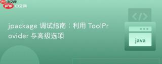 jpackage 调试指南：利用 ToolProvider 与高级选项