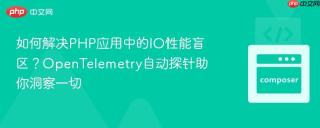 如何解决PHP应用中的IO性能盲区？OpenTelemetry自动探针助你洞察一切