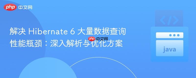 解决 Hibernate 6 大量数据查询性能瓶颈:深入解析与优化方案