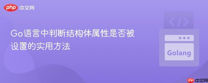 Go语言中判断结构体属性是否被设置的实用方法