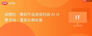 纳德拉：微软不追逐低利润 AI 计算市场，重视长期发展