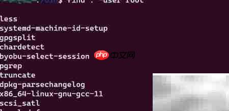 find指令搜索技巧
