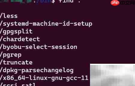 find指令搜索技巧