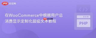 在WooCommerce中根据用户总消费显示定制化层级文本教程