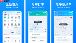 哈啰出行顺风车抢独享订单设置方法