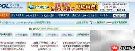 如何用站长工具查网站信息