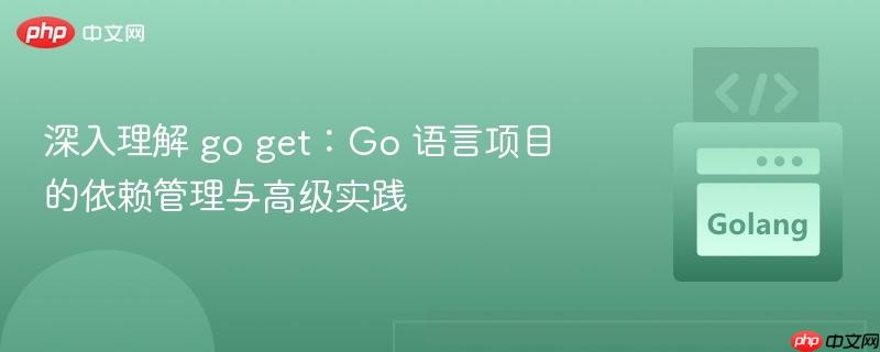 深入理解 go get:go 语言项目的依赖管理与高级实践