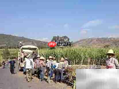 土地被占如何维权